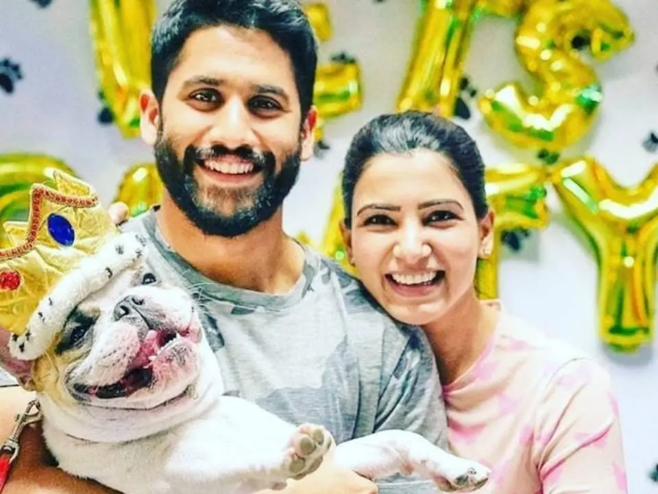 നാഗചൈതന്യയും സാമന്ത റൂത്ത് പ്രഭുവും | Photo: instagram/ naga chaitanya