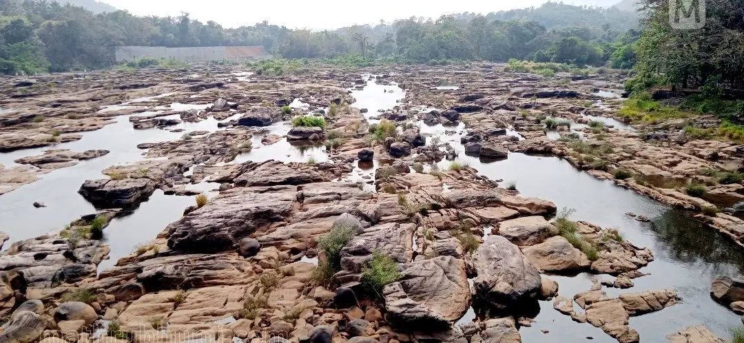 പ്രതീകാത്മകചിത്രം | ഫോട്ടോ: മാതൃഭൂമി