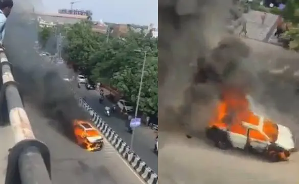 Photo: Screengrab from Viral Video