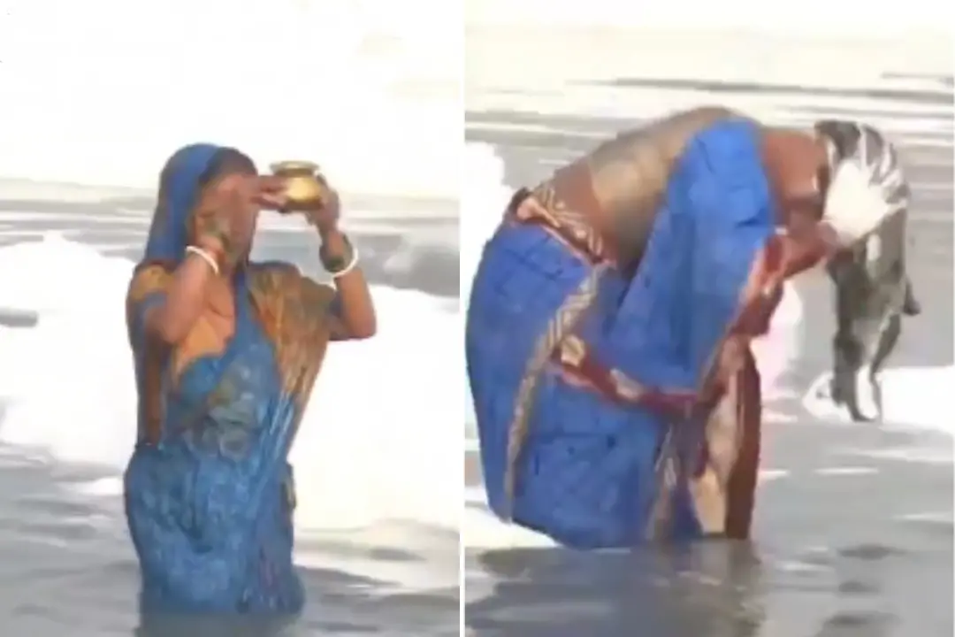 വൈറൽ വീഡിയോയിൽ നിന്നുള്ള ദൃശ്യങ്ങൾ | Photos: Screen Grabs / X @BroominsKaBaap