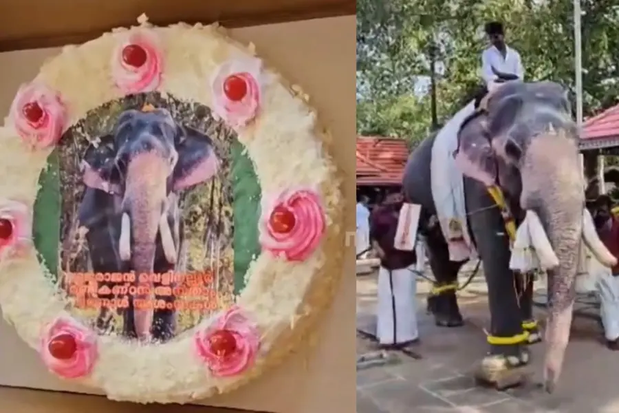 ഫോട്ടോ പതിച്ച കേക്ക്, പഴങ്ങളും മധുരപലഹാരങ്ങളും; മണികണ്ഠന്റെ പിറന്നാള് ആഘോഷമാക്കി വെള്ളിനല്ലൂരുകാര്
