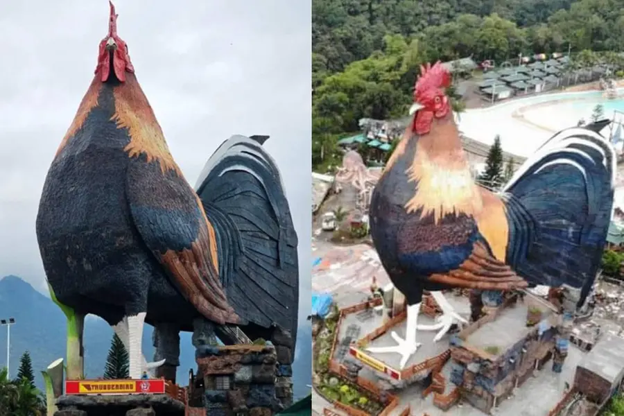 സൂക്ഷിച്ച് നോക്കണ്ട, കോഴിയല്ല- ഹോട്ടലാണ്: ഉയരം 30 മീറ്ററിനും മേലെ