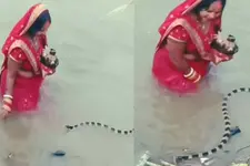 ഛത്ത് പൂജയ്ക്കിടെ ജലാശയത്തില്‍ യുവതിയുടെ സമീപം പാമ്പ്; വൈറലായി വീഡിയോ