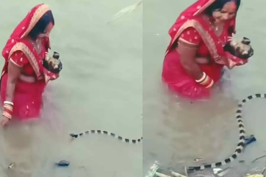 ഛത്ത് പൂജയ്ക്കിടെ ജലാശയത്തില് യുവതിയുടെ സമീപം പാമ്പ്; വൈറലായി വീഡിയോ