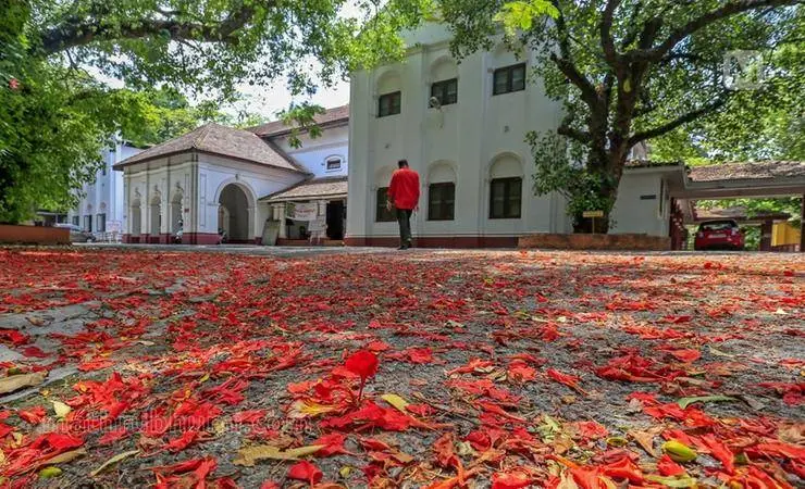 കേരളസാഹിത്യ അക്കാദമി (ഫയല്ചിത്രം)