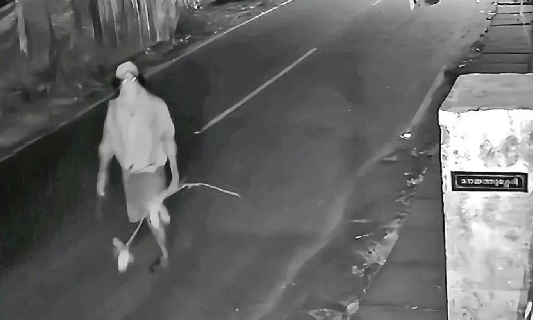 സി.സി ക്യാമറയില് പതിഞ്ഞ 'നാടന് കുറുവ' രൂപം