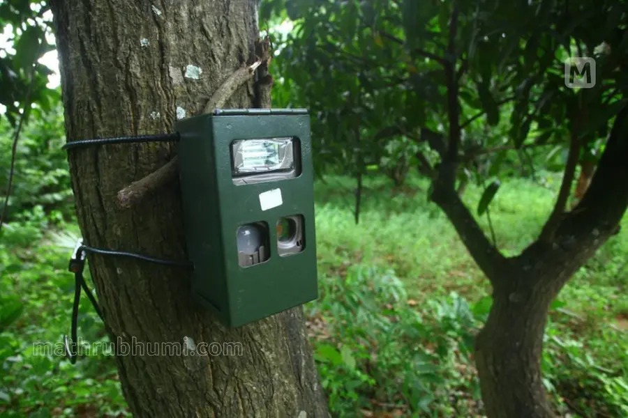 കാട്ടില് സ്ഥാപിച്ച ക്യാമറയില് യുവതിയുടെ നഗ്നദൃശ്യം; പ്രചരിപ്പിച്ച് ഉദ്യോഗസ്ഥന്, അന്വേഷണം
