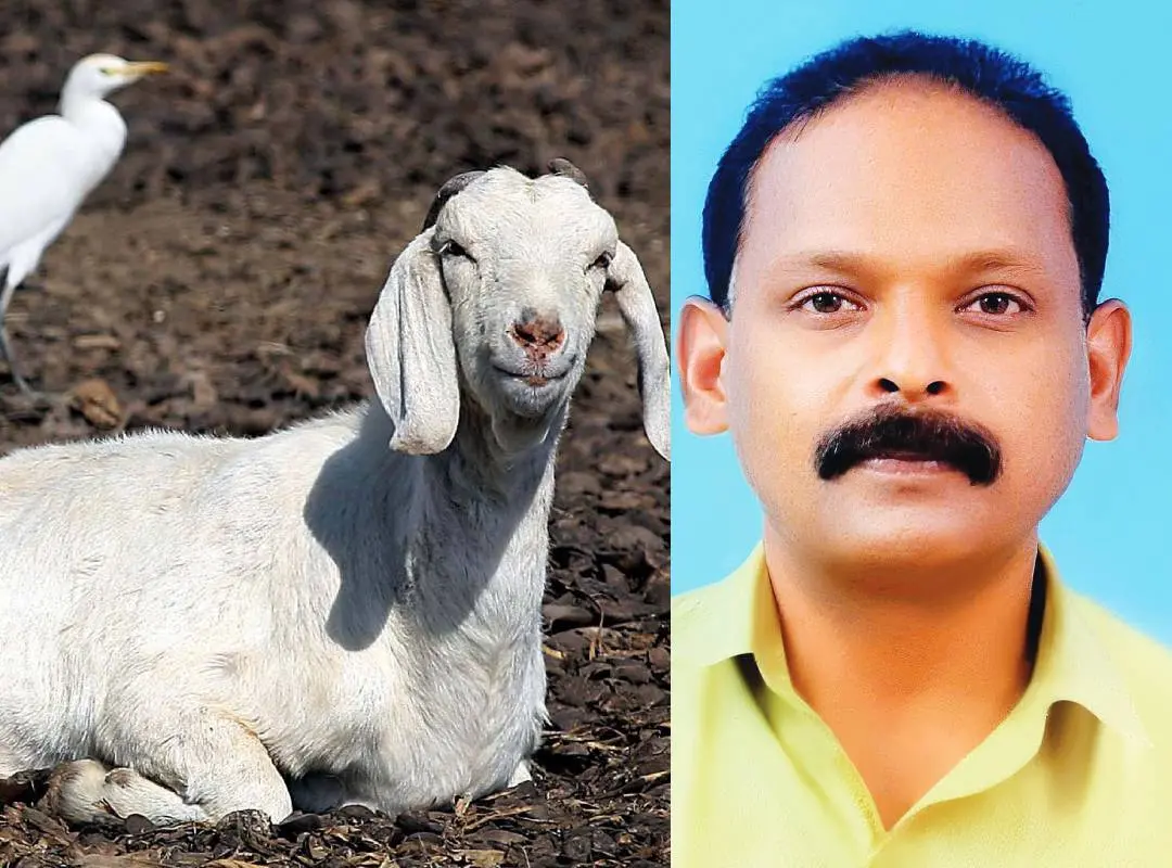 പ്രതീകാത്മക ചിത്രം/ ജിന്സ് മോന് | Photo: AP/ Mathrubhumi