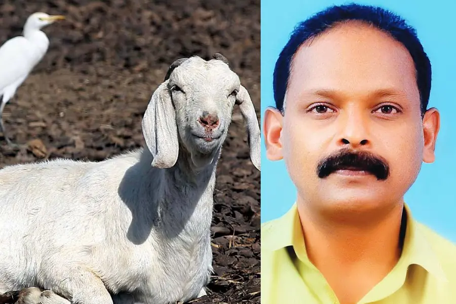 യുവാവിന്റെ ചികിത്സാ സഹായത്തിന് ആടിനെ ലേലം ചെയ്തു; നാട്ടുകാര് ഒരുമിച്ചതോടെ കിട്ടിയത് 3 ലക്ഷം രൂപ