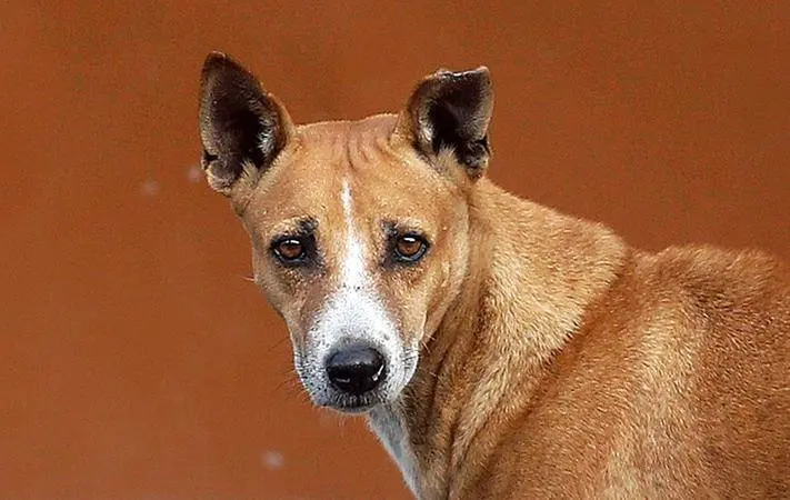 പ്രതീകാത്മക ചിത്രം