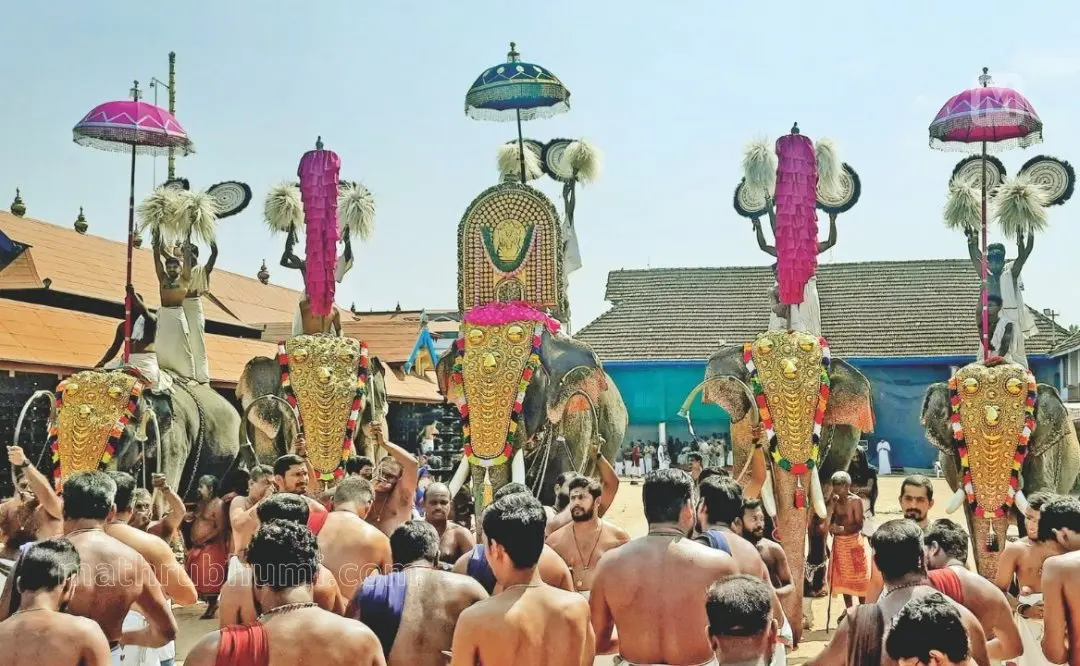 പ്രതീകാത്മകചിത്രം