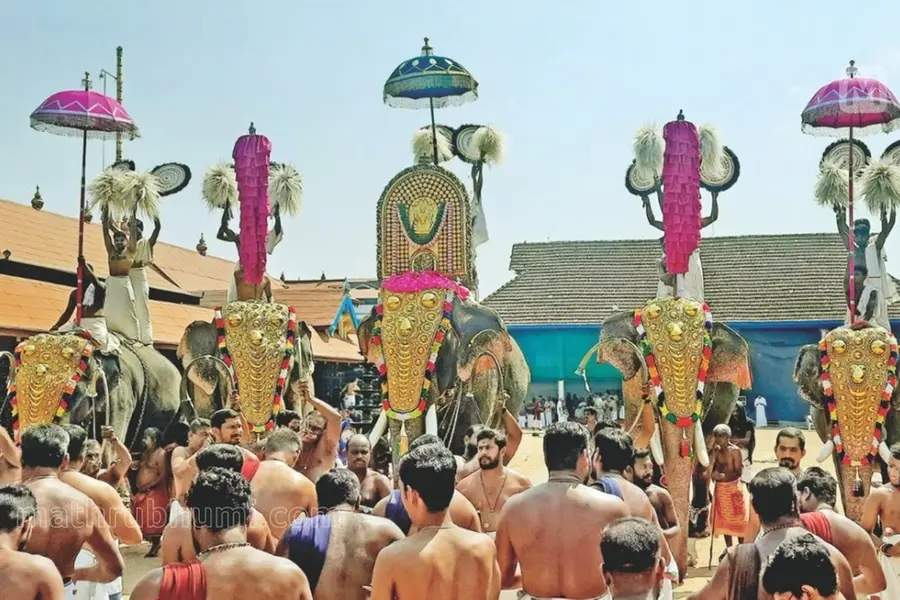 ക്ഷേത്രങ്ങളിലെ ആനയെഴുന്നള്ളിപ്പ്: ഏകപക്ഷീയമായി നിർത്താൻ പാടില്ല, നിയന്ത്രണം വേണമെന്ന് തന്ത്രി സമാജം