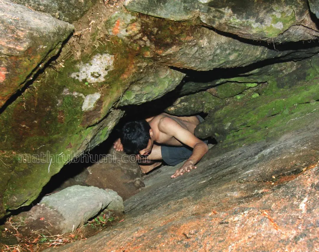 പുനര്ജനിനൂഴല്| Photo: Mathrubhumi