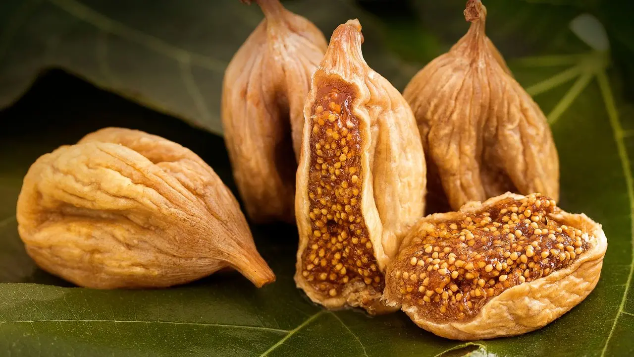 fig|photo:canva