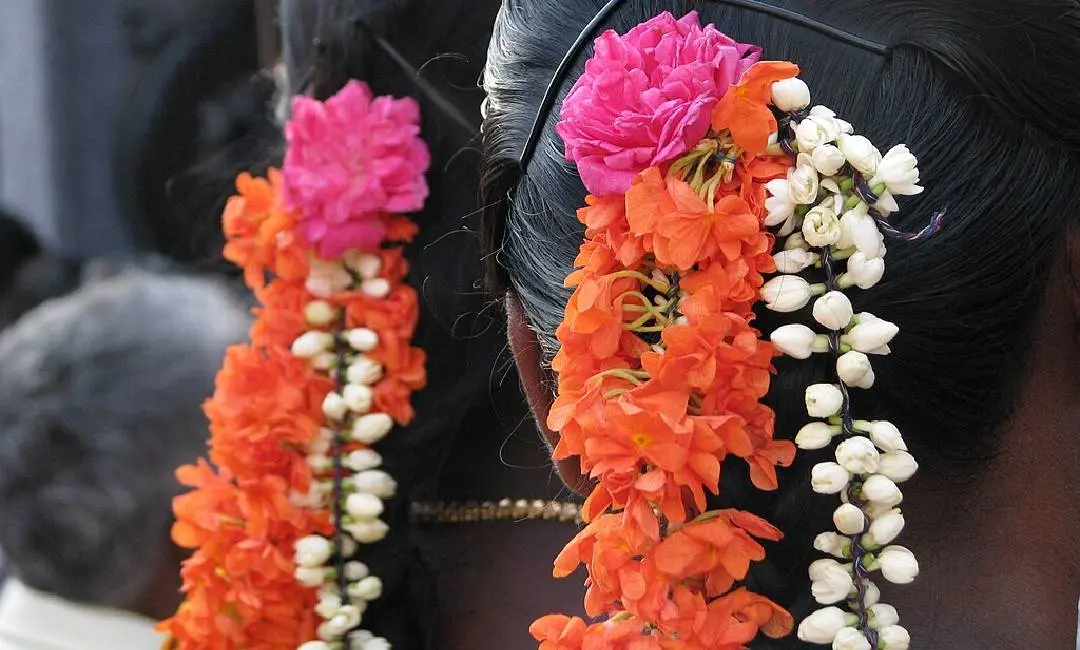 കടപ്പാട്: McKay Savage/Wikimedia Commons