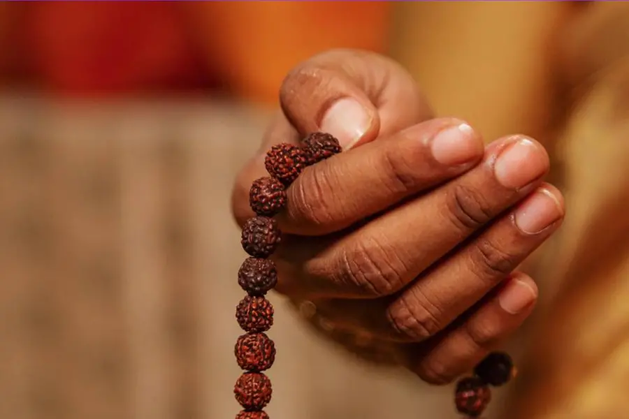 ക്രാന്തദര്ശിയായ സംസ്കൃതി