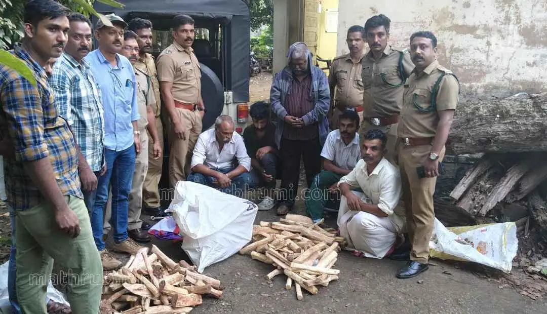 പിടികൂടിയ ചന്ദനത്തിനും ആയുധങ്ങള്‍ക്കുമൊപ്പം പ്രതികളും വനം വകുപ്പ് ഉദ്യോഗസ്ഥരും