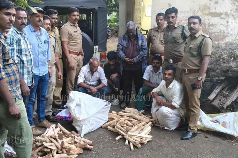 നെടുങ്കണ്ടത്ത് വൻ ചന്ദന വേട്ട; 55 കിലോ ചന്ദനകാതൽ പിടികൂടി, അഞ്ച് പേർ അറസ്റ്റിൽ