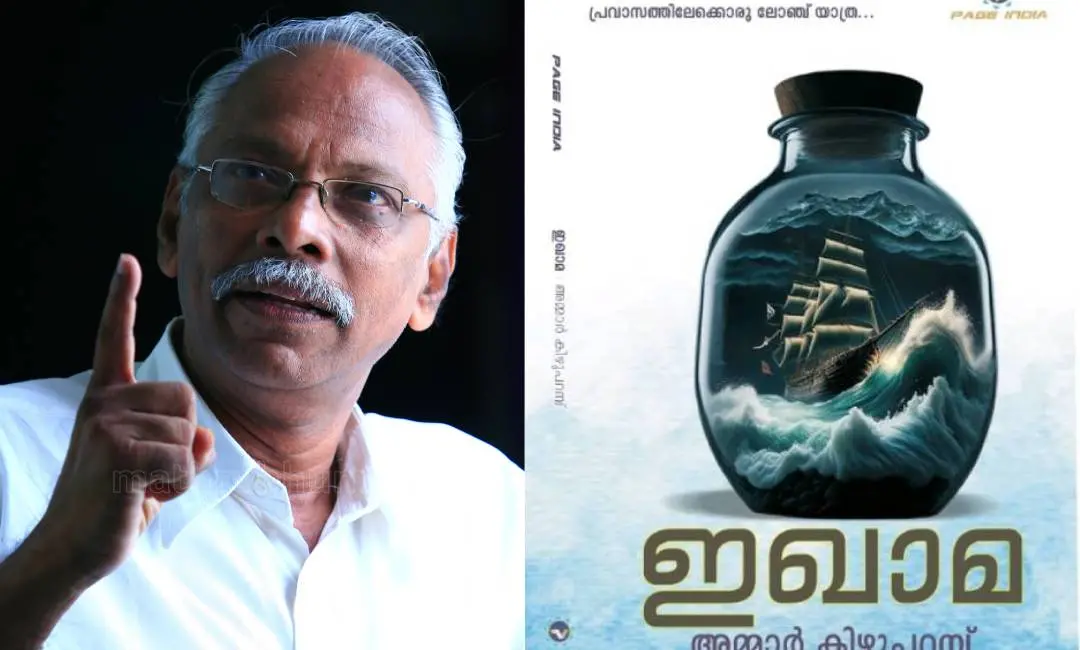 എം.എന് കാരശ്ശേരി, നോവല് കവര്