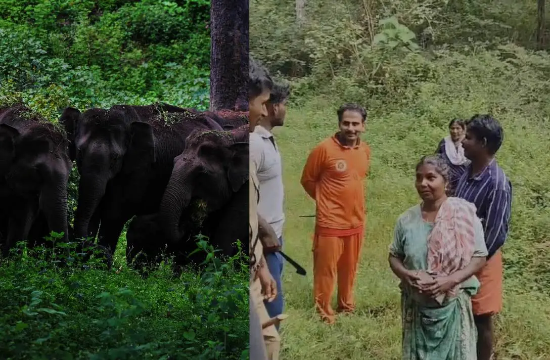 വനത്തിനുള്ളില്നിന്ന് രക്ഷപ്പെട്ട സ്ത്രീകള്