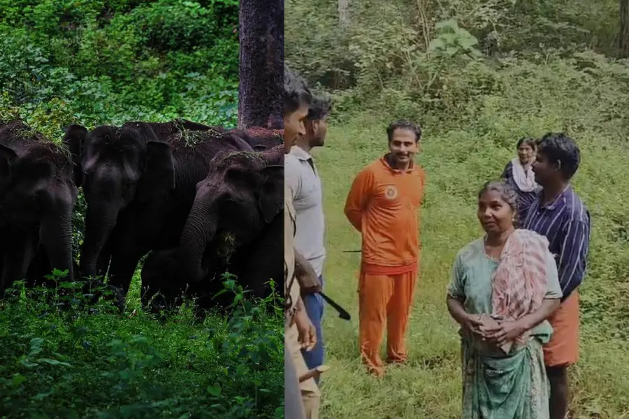 ഒരു രാത്രി കൊടുംവനത്തില്; ഒടുവില് സുരക്ഷിതരായി തിരിച്ചെത്തി