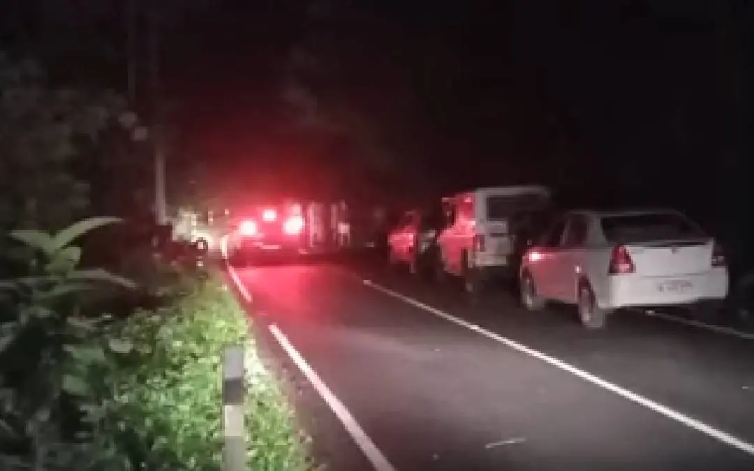 ആന പന മറിച്ചിട്ടിടത്തുനിന്നുള്ള ദൃശ്യം