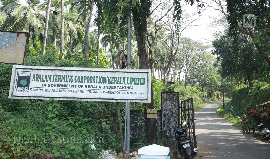 ആറളം ഫാമിലേക്കുള്ള പ്രവേശന കവാടം| ഫയല്‍ ചിത്രം, മാതൃഭൂമി