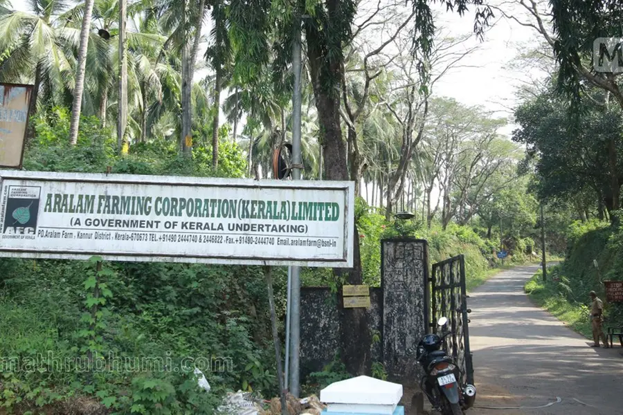 ആറളം ഫാമിലെ ഭൂമി പാട്ടത്തിന് നല്‍കല്‍; കുടില്‍കെട്ടി സമരം ചെയ്യാന്‍ ആദിവാസി ക്ഷേമസമിതി
