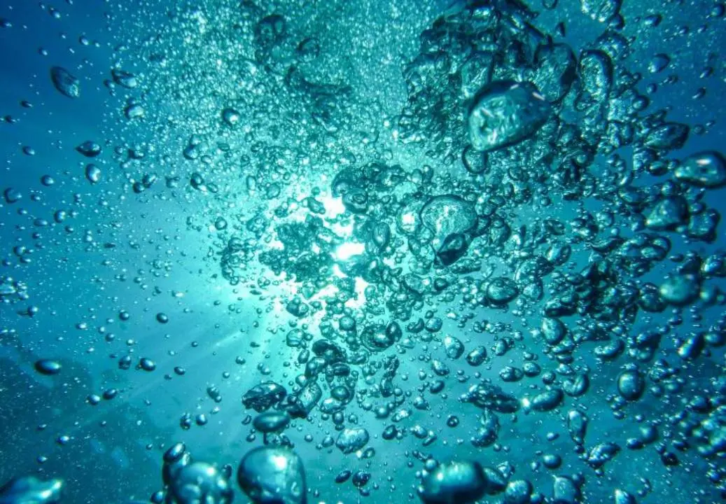 Reapresentational Image | Canva.com