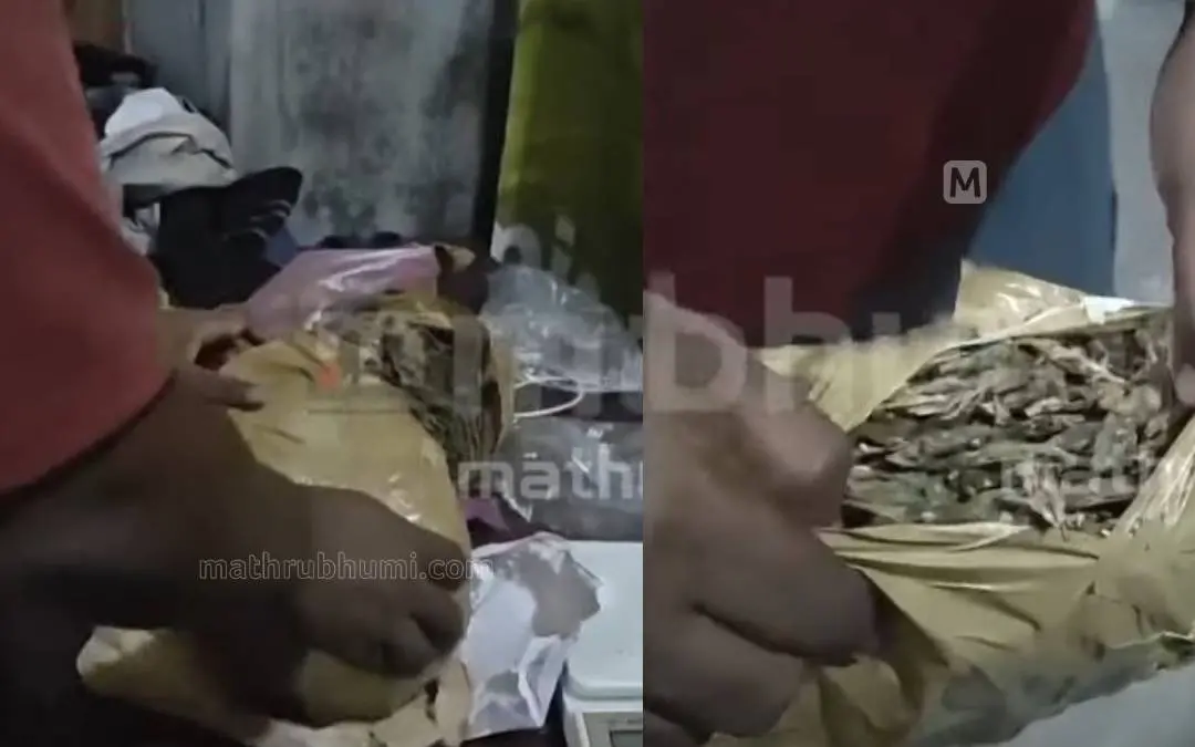 കളമശ്ശേരി ഗവ.പോളിടെക്നിക് കോളേജ് മെന്സ് ഹോസ്റ്റലില് നടത്തിയ പരിശോധന. | Photo: Mathrubhumi news