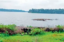തടാകക്കാഴ്ച ആനന്ദകരം,വേണ്ടത് പരിസ്ഥിതിസൗഹൃദ ടൂറിസം; ശാസ്താംകോട്ടയ്ക്ക് പ്രതീക്ഷയേകി ജൈവടൂറിസം പദ്ധതി