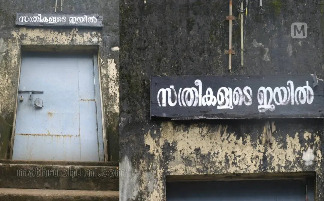 പ്രതീകാത്മക ചിത്രം | ഫോട്ടോ: എന്.എം.പ്രദീപ്/ മാതൃഭൂമി
