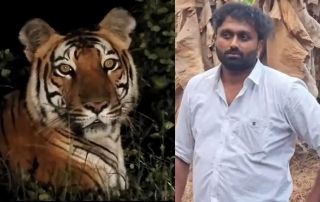 Photo: Screengrab from a video shared by Forest dept