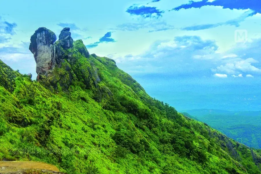 പെരുംതേനീച്ച ആക്രമണം: ഇല്ലിക്കല്കല്ലില് ഒരുഭാഗത്തെ പ്രവേശനം നിരോധിച്ചു