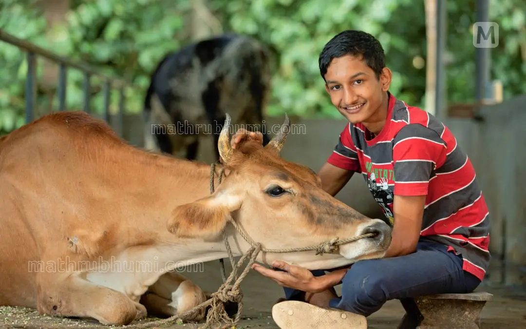 മാത്യു ബെന്നി | ഫയൽ ഫോട്ടോ: പി ജയേഷ് / മാതൃഭൂമി