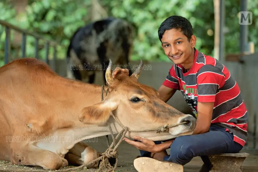 'സ്നേഹിച്ചുവളർത്തിയതല്ലേ.. ഓർക്കുമ്പോൾ സങ്കടമുണ്ട്'; മാത്യുവിന്റെ പുതുവർഷത്തെ നോവിന് ഒരു വയസ്സ്