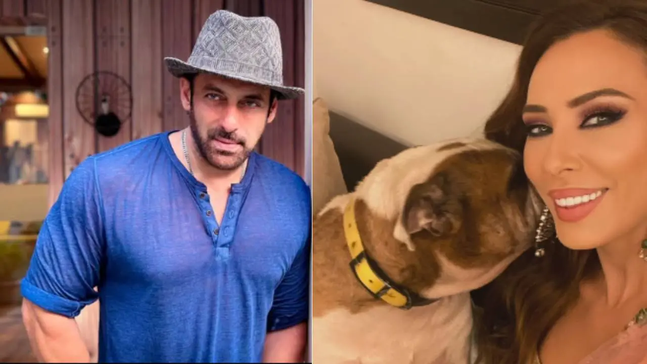 സല്‍മാന്‍ ഖാന്‍,യൂലിയ വന്തൂറും ടോറോയും|photo:instagram.com/beingsalmankhan,instagram.com/vanturiulia