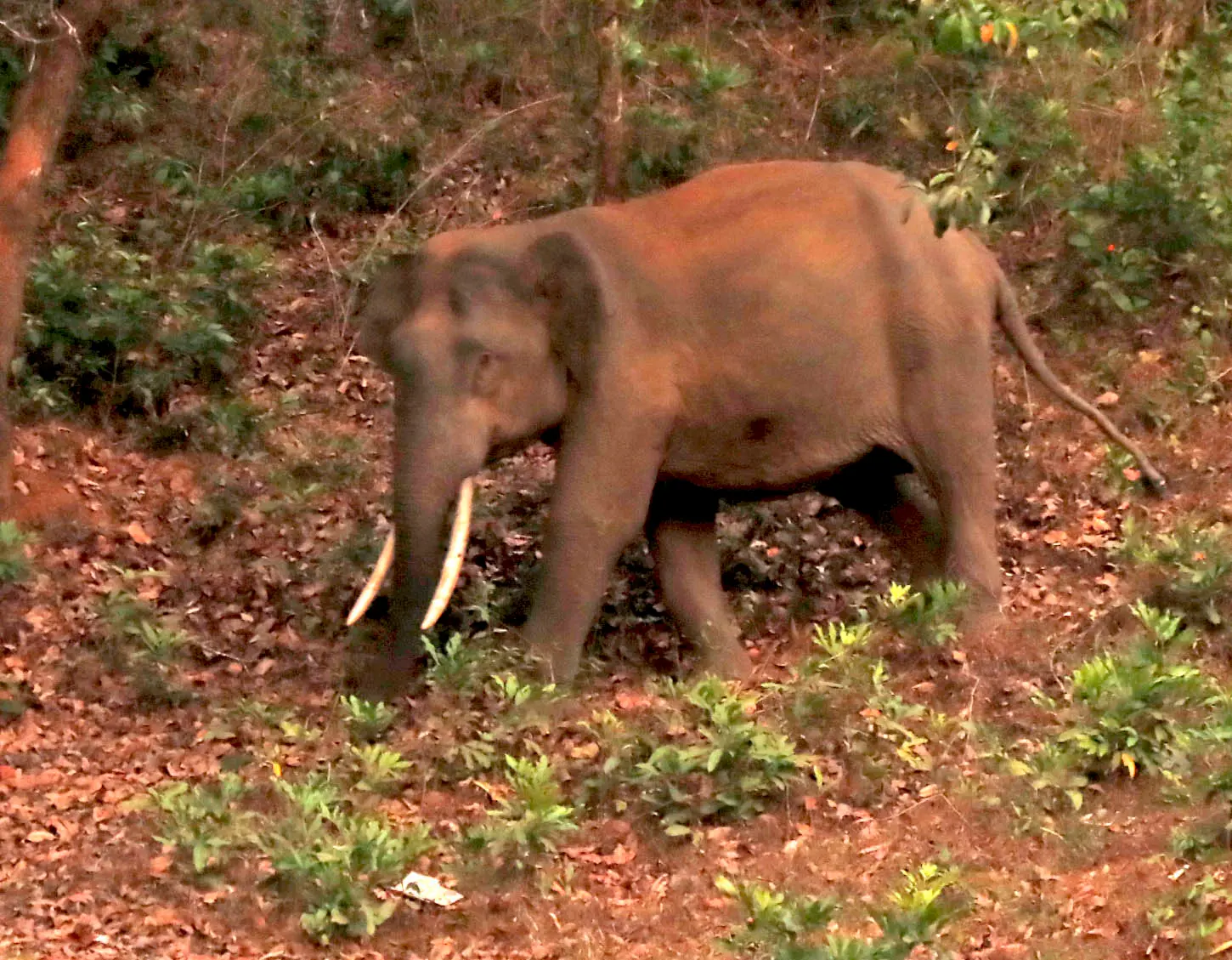 പ്രതീകാത്മക ചിത്രം