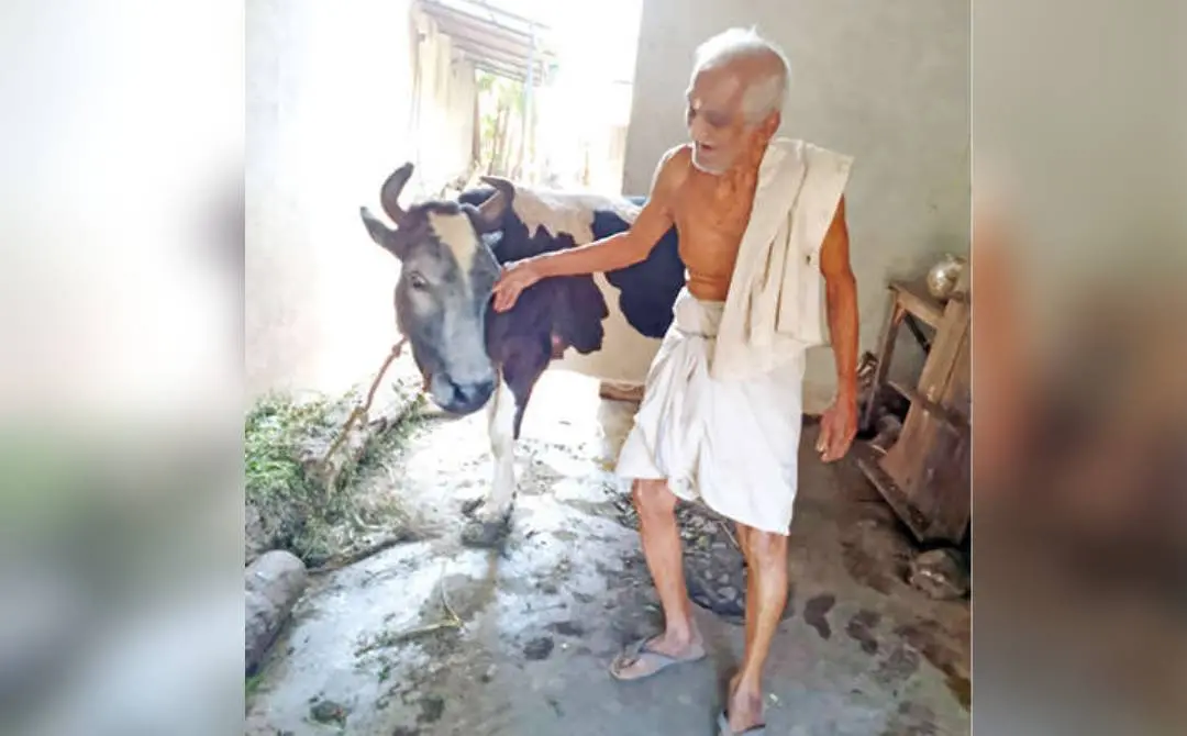 ഉമേഷ് റാവു ഗായ്മായി എന്ന് വിളിപ്പേരുള്ള മുത്തശ്ശിപ്പശുവിനൊപ്പം