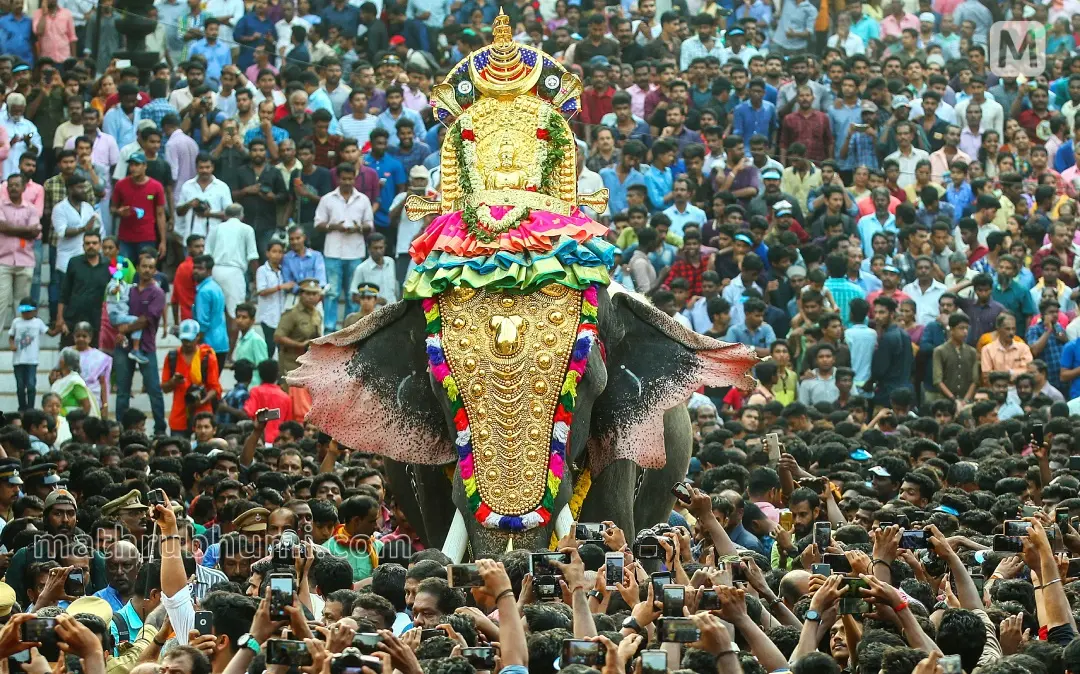 പ്രതീകാത്മക ചിത്രം | ഫോട്ടോ: മാതൃഭൂമി