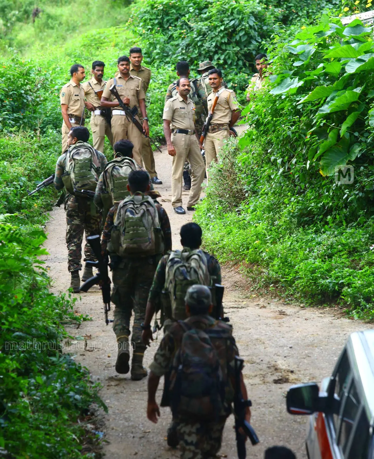 പ്രതീകാത്മകചിത്രം | Mathrubhumi archives