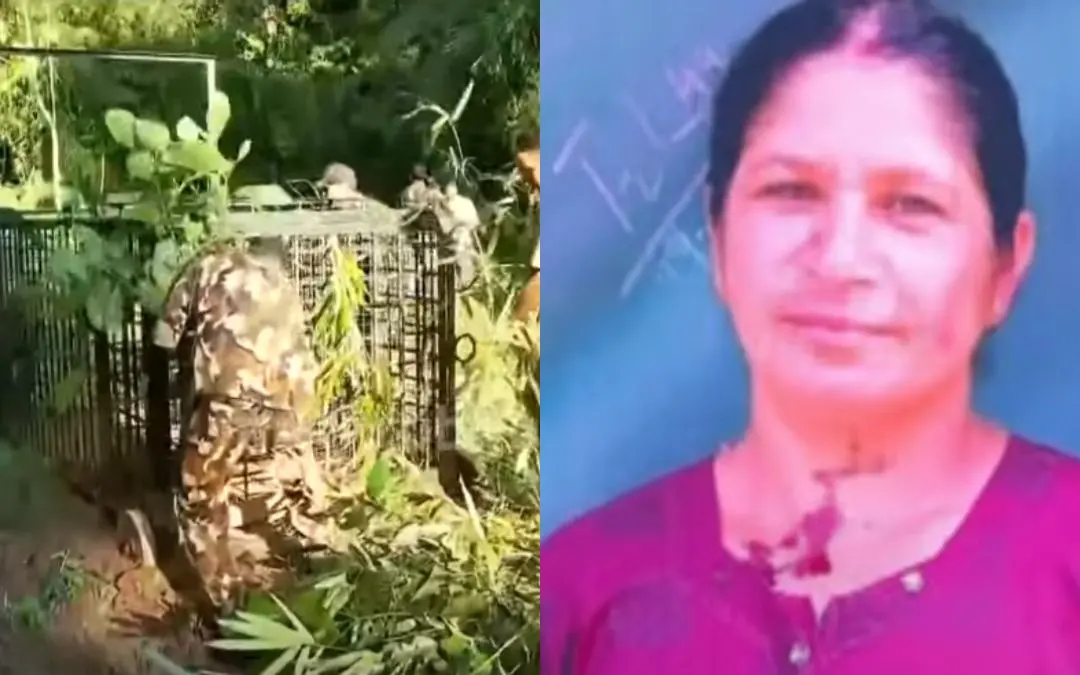 വനം വകുപ്പ് സ്ഥാപിച്ച കൂട്