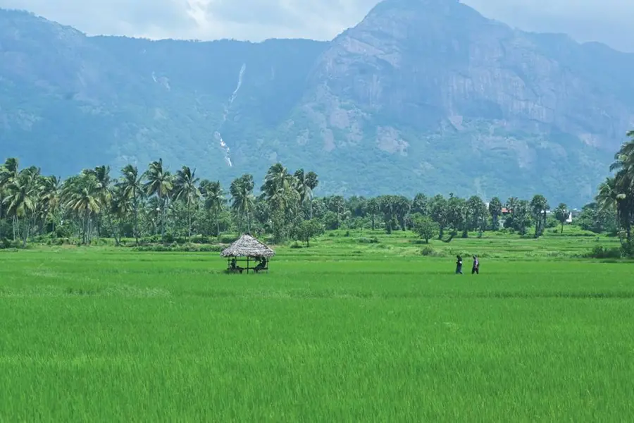 മെഡിക്കല് ടൂറിസവും ആധ്യാത്മികയാത്രയും; വിനോദസഞ്ചാരമേഖലയില് വികസനത്തിന് നീക്കം