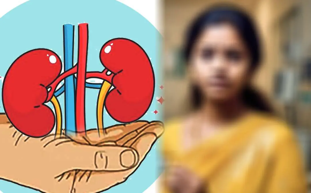 പ്രതീകാത്മക ചിത്രം | Photo: Mathrubhumi & Meta AI