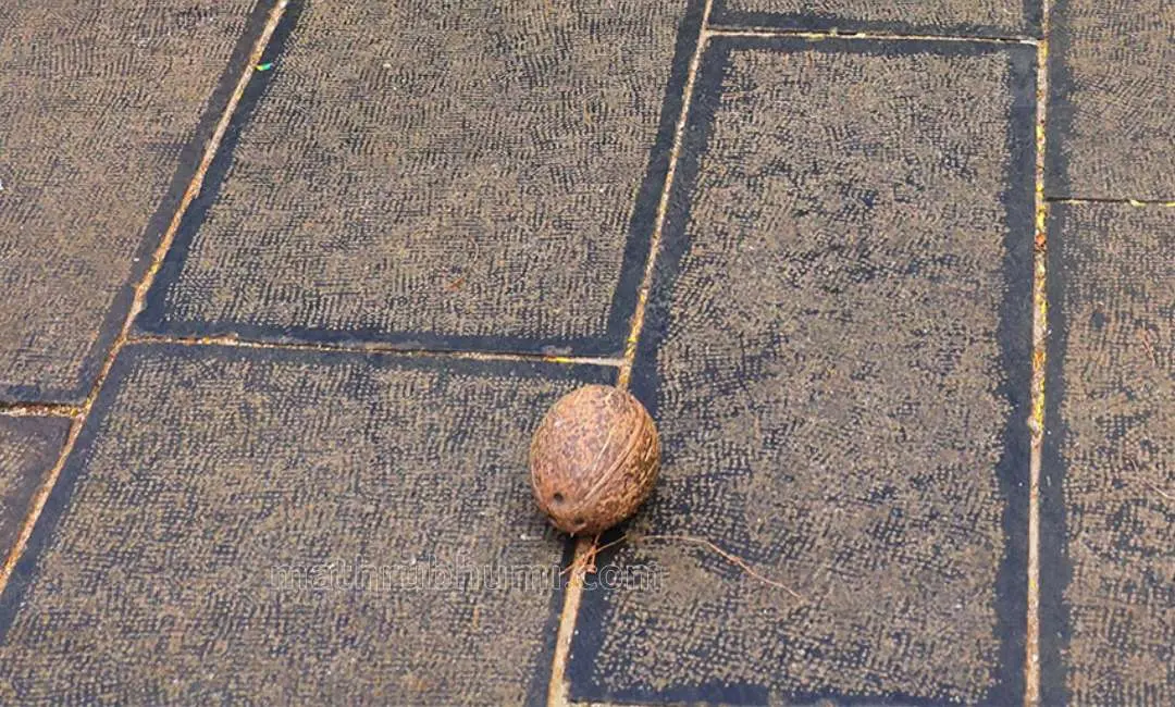 പ്രതീകാത്മക ചിത്രം