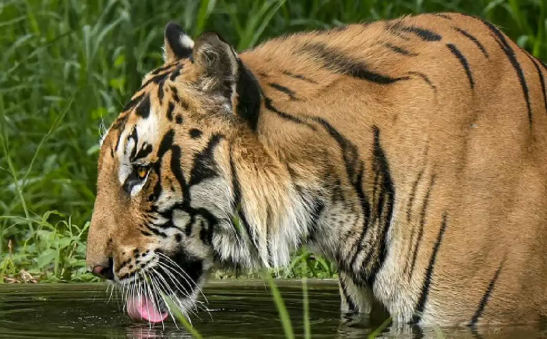 പ്രതീകാത്മക ചിത്രം| ഫോട്ടോ: PTI