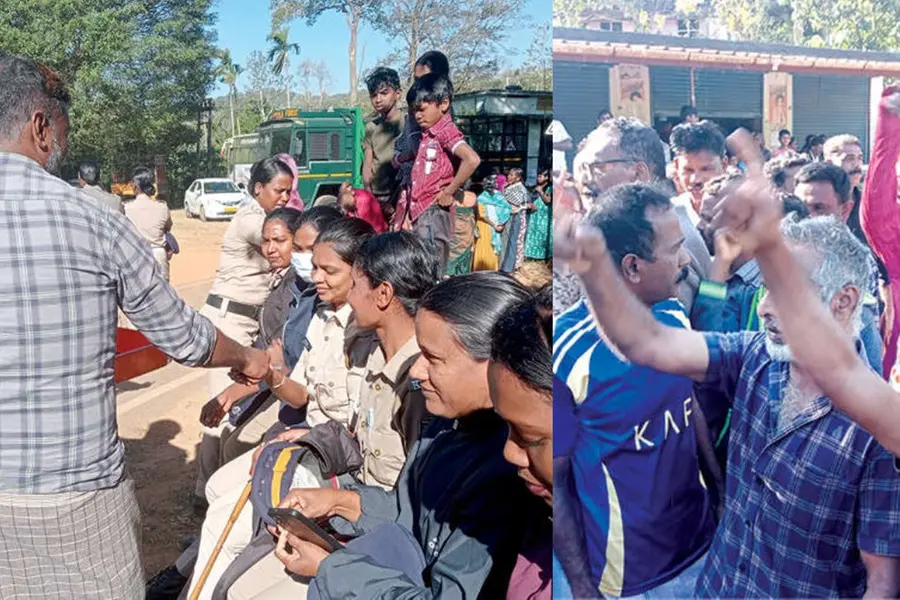 നരഭോജിക്കടുവയുടെ ഭീതിയൊഴിഞ്ഞ ആശ്വാസത്തില്‍ പഞ്ചാരക്കൊല്ലി; പടക്കം പൊട്ടിച്ച് ആഘോഷിച്ച് നാട്