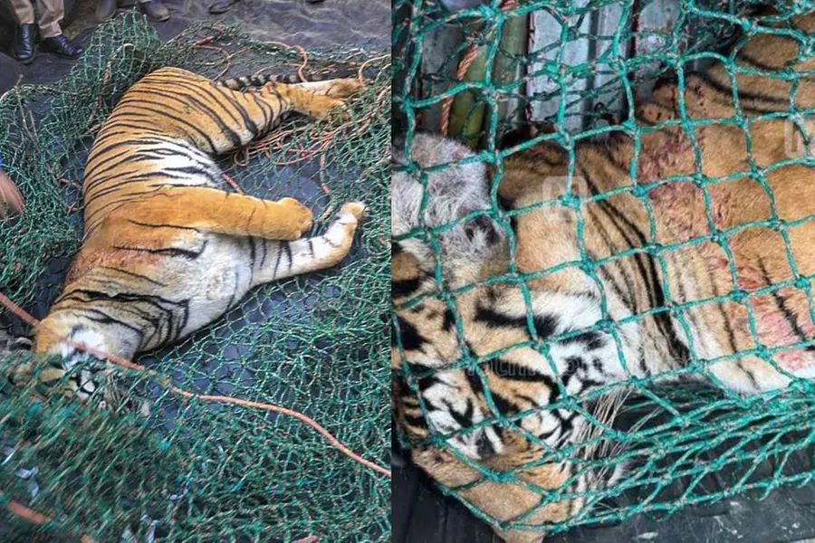 വന്യമൃഗ ആക്രമണം: സർക്കാർ നിലപാടിന് ആത്മാർത്ഥതയില്ല, ജനങ്ങളെ പറ്റിക്കുന്നു- ഡോ. ഈസ
