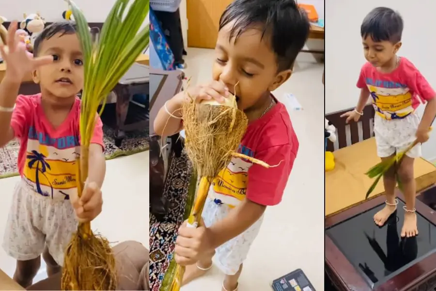 ‘പൊങ്ങ്’ ന്ന് പറഞ്ഞാ എന്താ? ഇൻസ്റ്റമാർട്ടിൽ നിന്ന് ഓർഡർ ചെയ്തു നൽകി മാതാപിതാക്കൾ