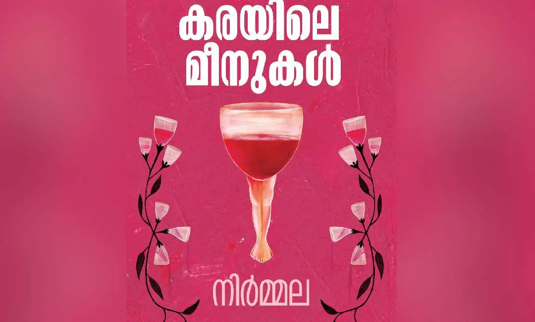 നോവല് കവര്